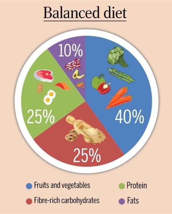 Daily Diet Routine For Men And Women | Calories Plan